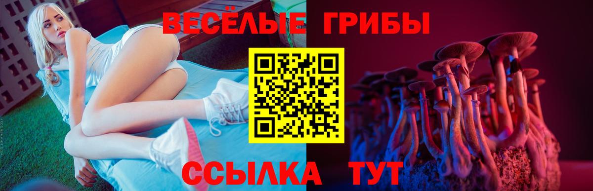 Семилуки  Галлюциногенные грибы MAGIC MUSHROOMS  Вход с VPN  дарнет шоп  Псилоцибиновые грибы мухоморы 